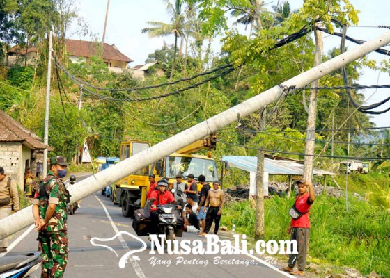 Nusabali.com - picu-antrean-kendaraan-1-km