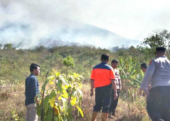 Nusabali.com - kebakaran-di-lereng-gunung-agung-meluas