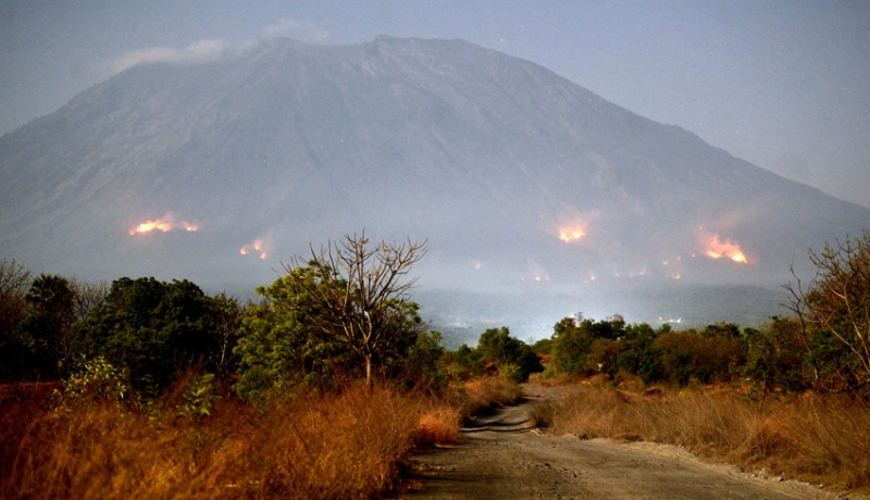 www.nusabali.com-bpbd-bali-waspada-kebakaran-hutan-dan-lahan