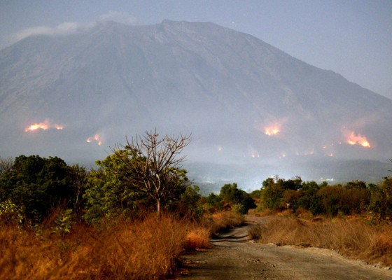 Nusabali.com - bpbd-bali-waspada-kebakaran-hutan-dan-lahan