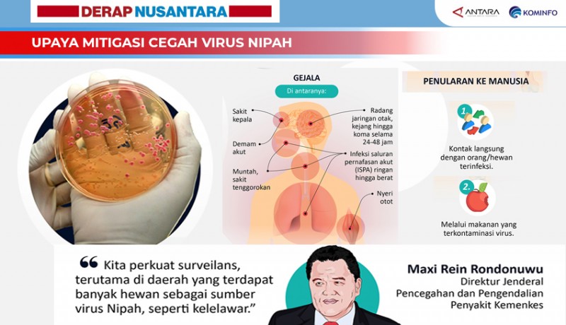 www.nusabali.com-upaya-mitigasi-cegah-virus-nipah