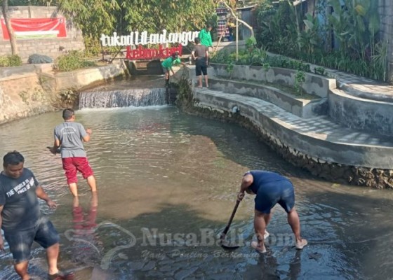 Nusabali.com - tukad-lila-ulangun-sungai-yang-kini-mulai-terlihat-bersih-dan-indah