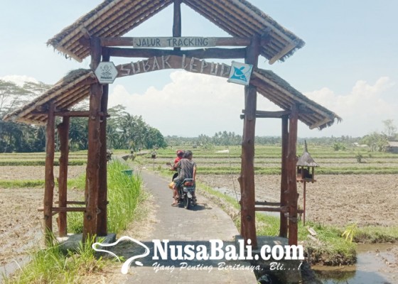 Nusabali.com - jalur-treking-daya-tarik-wisata-desa-baha