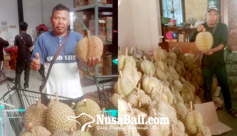 www.nusabali.com-legit-bisnis-durian