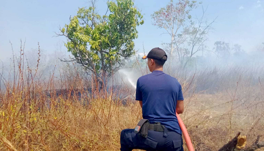 www.nusabali.com-4-hektare-kebun-di-sukadana-terbakar