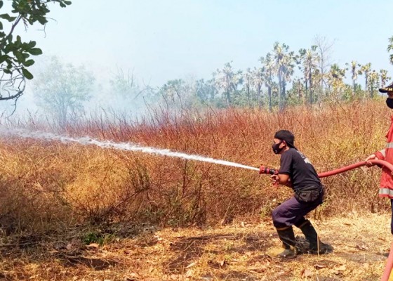 Nusabali.com - 4-hektare-kebun-di-sukadana-terbakar