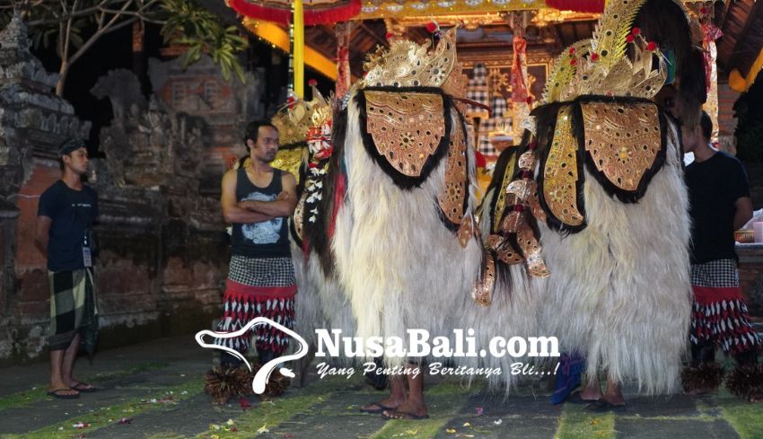 www.nusabali.com-singa-barong-vi-barong-pusaka-budaya-ajang-melestarikan-tari-barong-singapadu