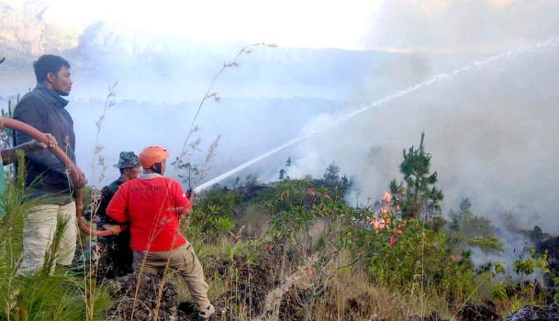 www.nusabali.com-749-hektare-hutan-di-kintamani-terbakar