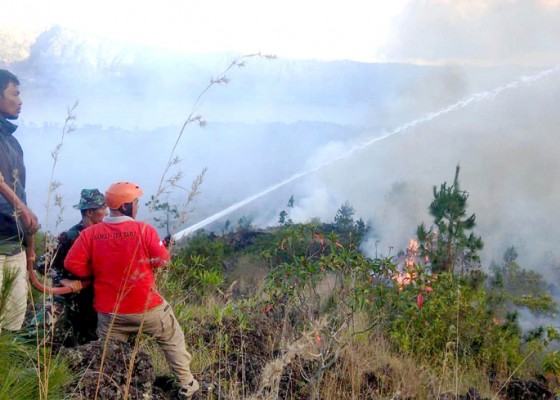 Nusabali.com - 749-hektare-hutan-di-kintamani-terbakar