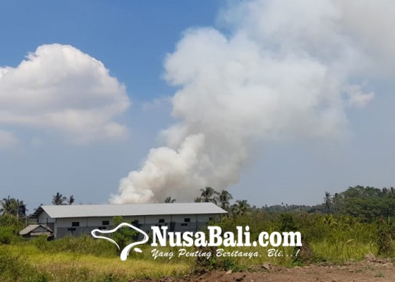 Nusabali.com - giliran-tpa-mandung-tabanan-kebakaran-api-sulit-dipadamkan-timbul-asap-pekat