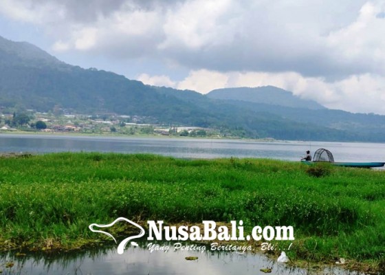 Nusabali.com - danau-buyan-surut-hingga-15-meter