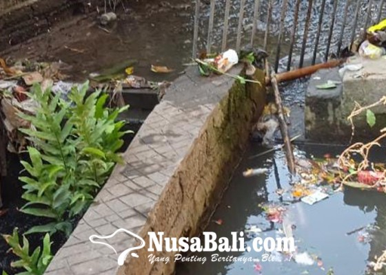 Nusabali.com - air-sungai-menyusut-sampah-menampakkan-diri