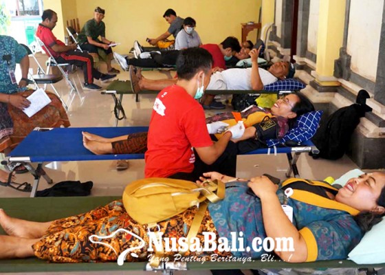 Nusabali.com - 24-pendonor-gagal-sumbang-darah