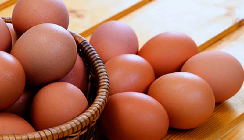 www.nusabali.com-kesehatan-telur-wajib-untuk-pertumbuhan
