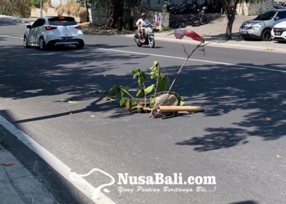 Nusabali.com - aspal-dan-trotoar-jalan-siligita-tunggu-perbaikan