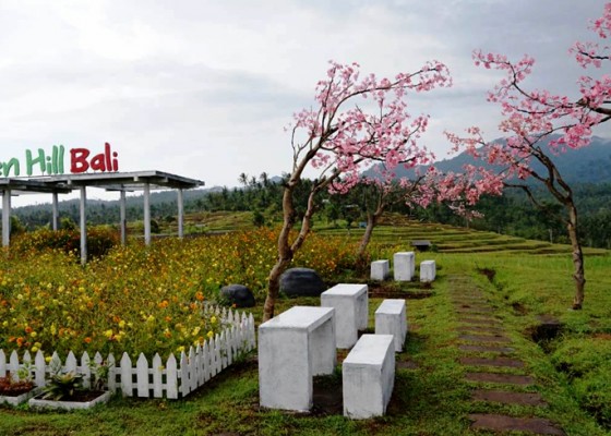 Nusabali.com - green-hill-bali-lengkapi-destinasi-wisata-alam-jembrana
