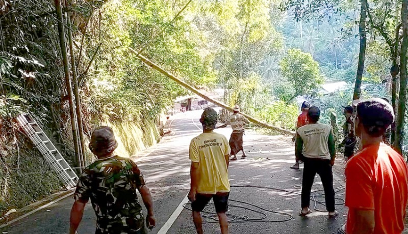 www.nusabali.com-warga-tingkadbatu-evakuasi-pohon-tumbang