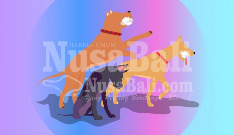 www.nusabali.com-kasus-rabies-di-denpasar-kembali-ditemukan