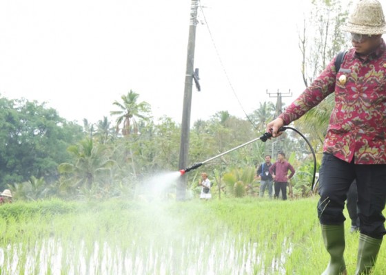 Nusabali.com - apresiasi-peran-petani-pj-gubernur-serahkan-bantuan-pupuk-organik