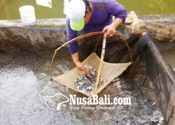 Nusabali.com - 1060-paket-gemarikan-disalurkan-ke-warga-badung-sepanjang-2023