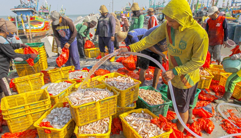 www.nusabali.com-hasil-tangkapan-nelayan-di-tuban-meningkat