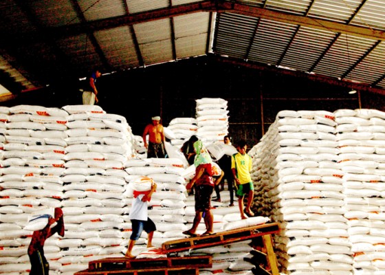 Nusabali.com - bulog-sebar-200-ribu-ton-beras-ke-penggilingan