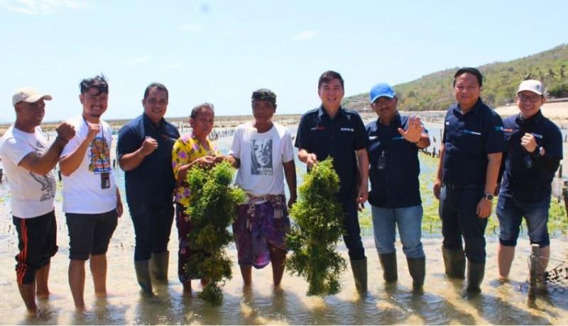www.nusabali.com-bri-salurkan-bantuan-sarpras-produksi-untuk-petani-rumput-laut-di-nusa-penida