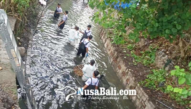www.nusabali.com-antisipasi-banjir-dan-demam-berdarah-pemkot-gencar-bersihkan-sungai