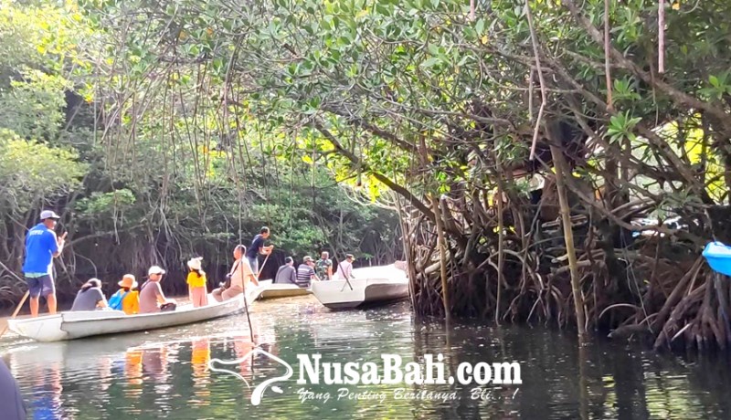 www.nusabali.com-47-sampan-layani-jelajah-mangrove-nusa-penida