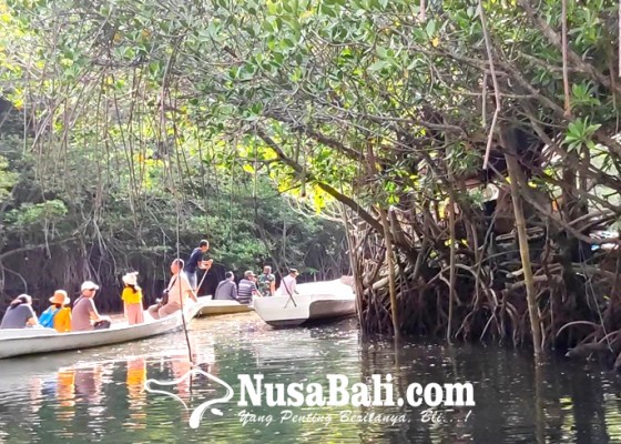 Nusabali.com - 47-sampan-layani-jelajah-mangrove-nusa-penida
