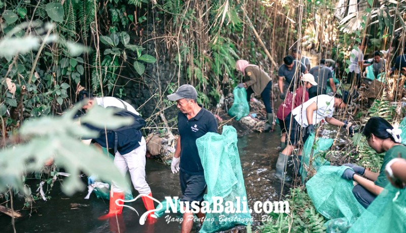 www.nusabali.com-relawan-bersihkan-32-ton-sampah-di-sungai-ubud