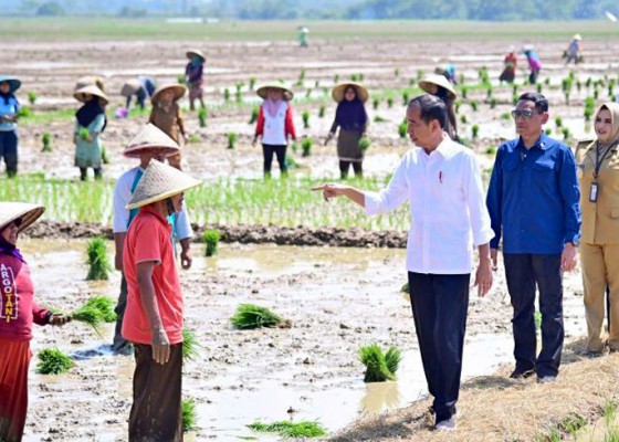 Nusabali.com - jokowi-janji-tambah-subsidi-pupuk-untuk-petani