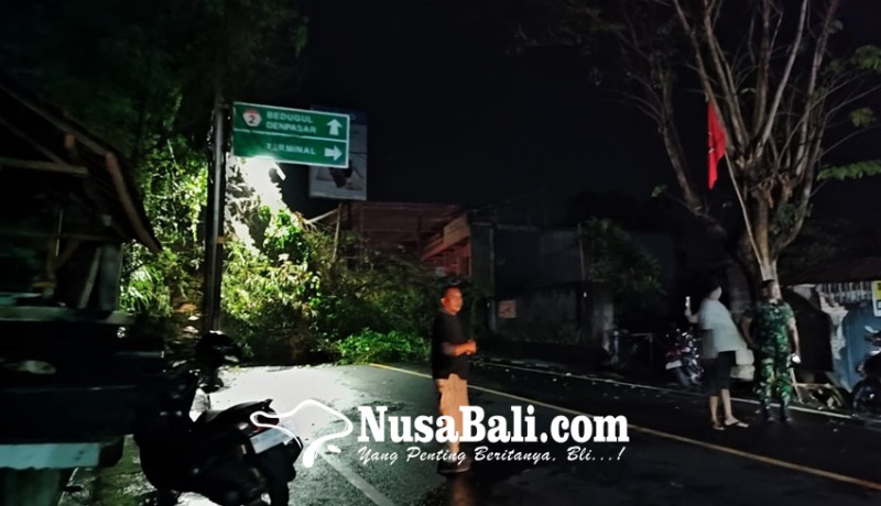 www.nusabali.com-pohon-tumbang-tutup-jalan-di-kubutambahan-dan-sukasada