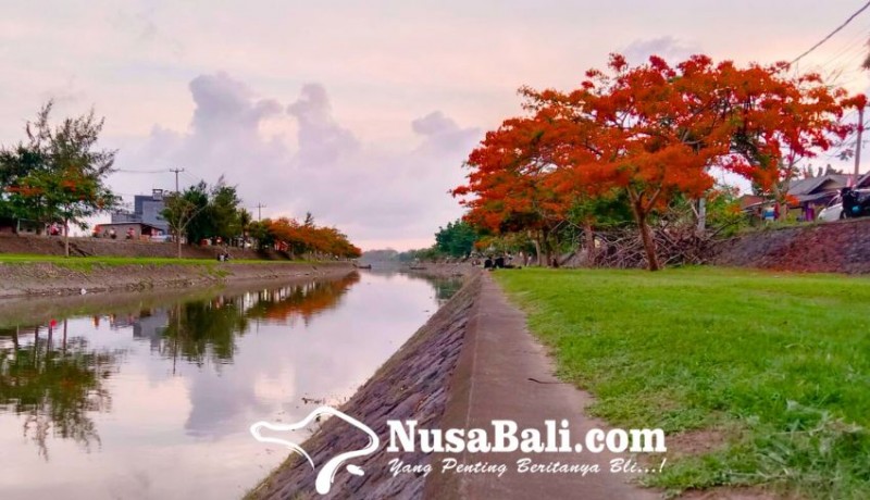 www.nusabali.com-taman-pancing-pemogan-destinasi-menikmati-keindahan-flamboyan