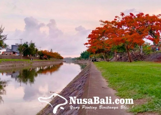 Nusabali.com - taman-pancing-pemogan-destinasi-menikmati-keindahan-flamboyan