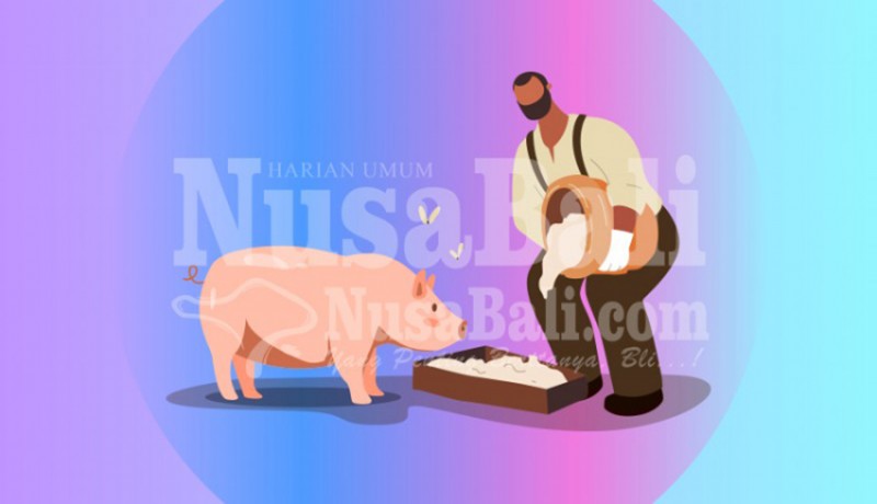 www.nusabali.com-peternak-babi-merana-harga-anjlok