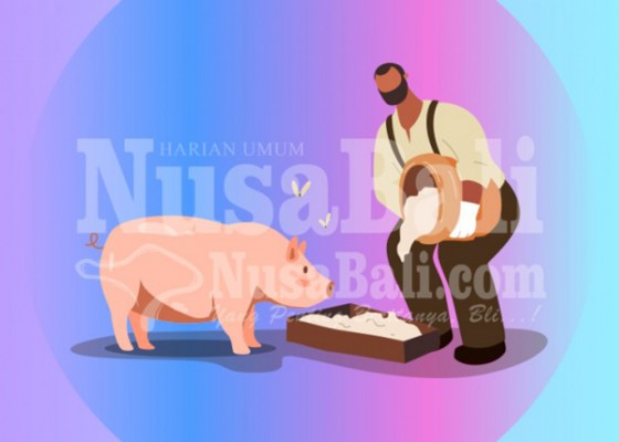 Nusabali.com - peternak-babi-merana-harga-anjlok