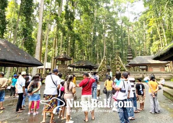 Nusabali.com - libur-tahun-baru-alas-pala-sangeh-diserbu-wisatawan