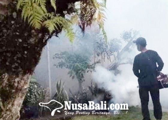 Nusabali.com - awal-tahun-enam-warga-terserang-db