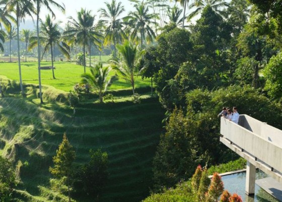Nusabali.com - secret-garden-village-edu-vacation-tour-yang-sajikan-pesona-alam-dan-budaya-bali