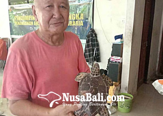 Nusabali.com - kerajinan-kerang-desa-wisata-serangan-bertahan-di-tengah-sulitnya-bahan-baku