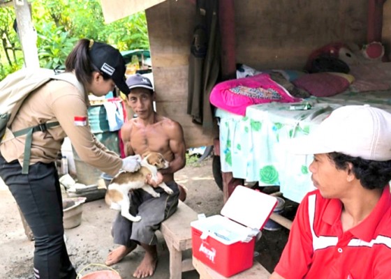 Nusabali.com - tim-medikvet-negara-perluas-vaksinasi-rabies-di-pengajaran-kaja