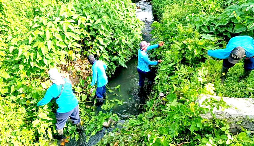 www.nusabali.com-antisipasi-banjir-dinas-pupr-denpasar-bersihkan-sungai