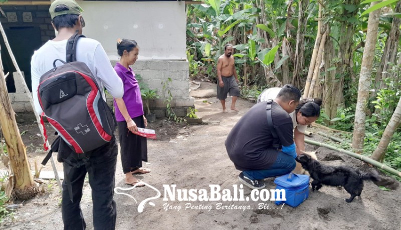 www.nusabali.com-distan-denpasar-vaksinasi-anjing-secara-door-to-door
