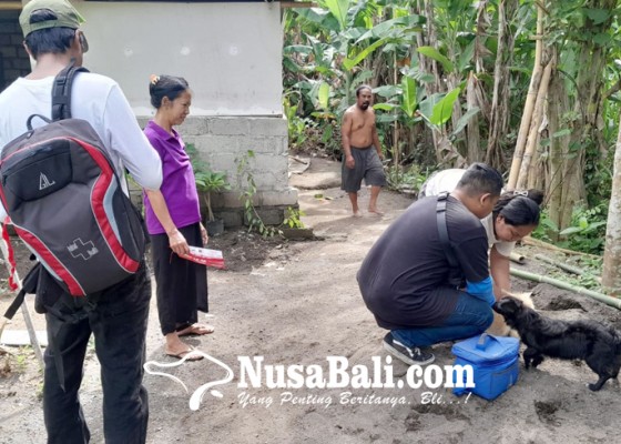 Nusabali.com - distan-denpasar-vaksinasi-anjing-secara-door-to-door