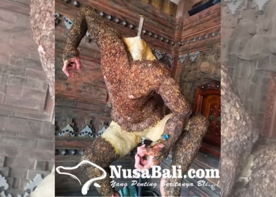 Nusabali.com - bunga-jepun-kering-menggali-keindahan-ogoh-ogoh-banjar-puri-agung-sesetan