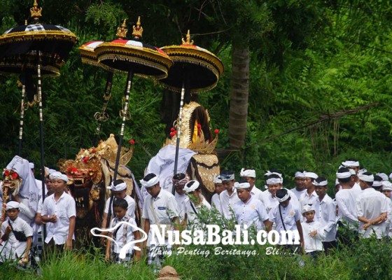 Nusabali.com - nyejer-selama-42-hari-ada-ritual-pemangkalan-setiap-rahina-kliwon