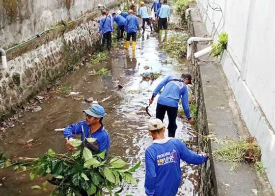 Nusabali.com - pupr-denpasar-bersihkan-sampah-dan-rompes-pohon-liar-di-sungai