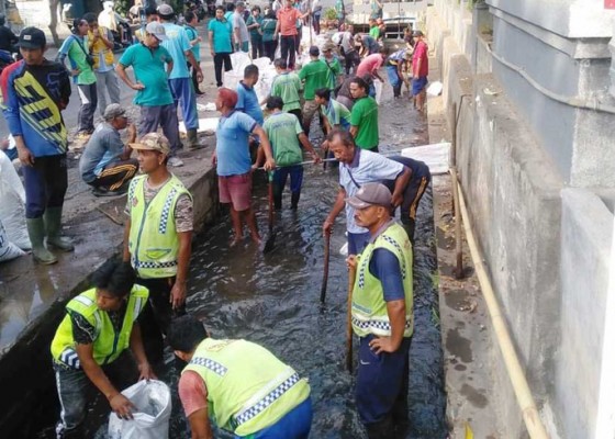 Nusabali.com - ratusan-personel-drainase-distandbykan