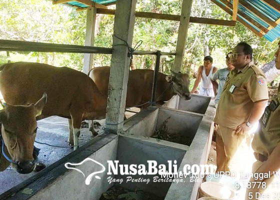 Nusabali.com - dukung-pertanian-organik-dinas-pertanian-usulkan-program-uppoz